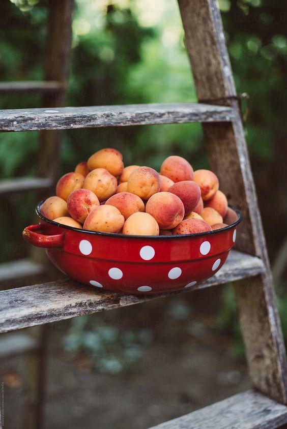 12 cung hoàng đạo thứ Ba ngày 27/4/2021: Thiên Bình có sức quyến rũ đặc biệt!-1