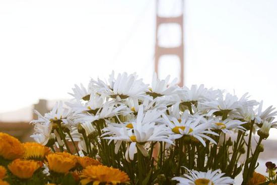 12 cung hoàng đạo thứ Ba ngày 27/4/2021: Thiên Bình có sức quyến rũ đặc biệt!