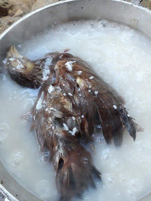 Trách bác bán cua không hướng dẫn cách nấu canh, cô gái cho ra thảm họa hết hồn-10