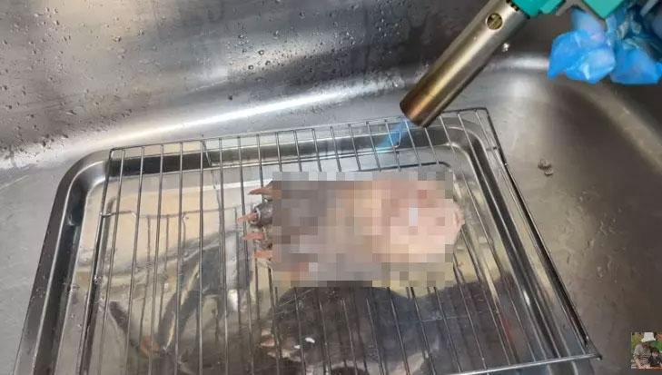 Quỳnh Trần JP nói về clip ăn chân gấu: Tôi không nghĩ gì sâu xa-2