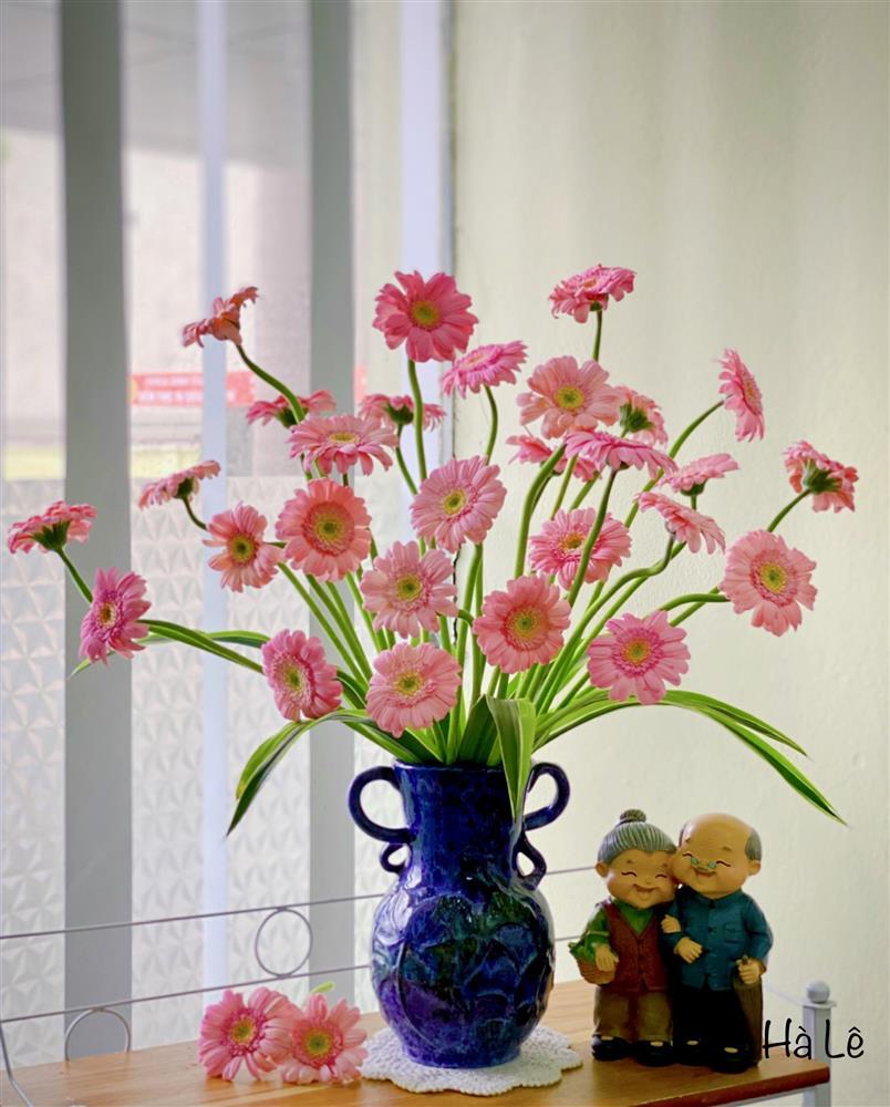 Chỉ với 70k, mẹ Hà Nội hô biến vườn đồng tiền nhí thành 7749 sắc thái rực rỡ-4