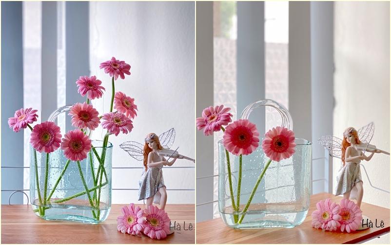 Chỉ với 70k, mẹ Hà Nội hô biến vườn đồng tiền nhí thành 7749 sắc thái rực rỡ-5