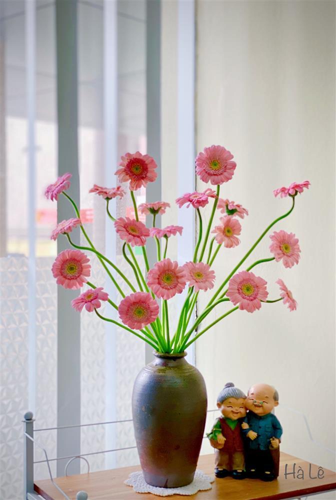 Chỉ với 70k, mẹ Hà Nội hô biến vườn đồng tiền nhí thành 7749 sắc thái rực rỡ-6