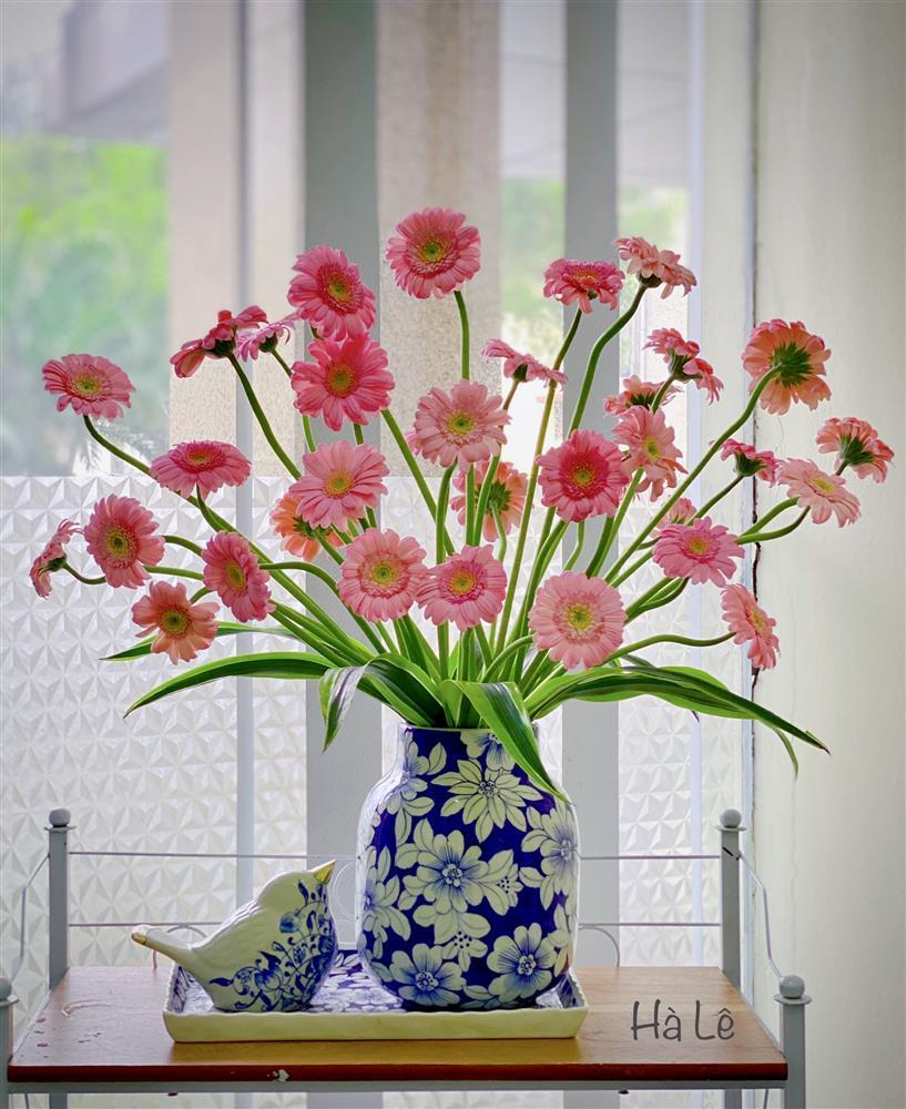 Chỉ với 70k, mẹ Hà Nội hô biến vườn đồng tiền nhí thành 7749 sắc thái rực rỡ-7