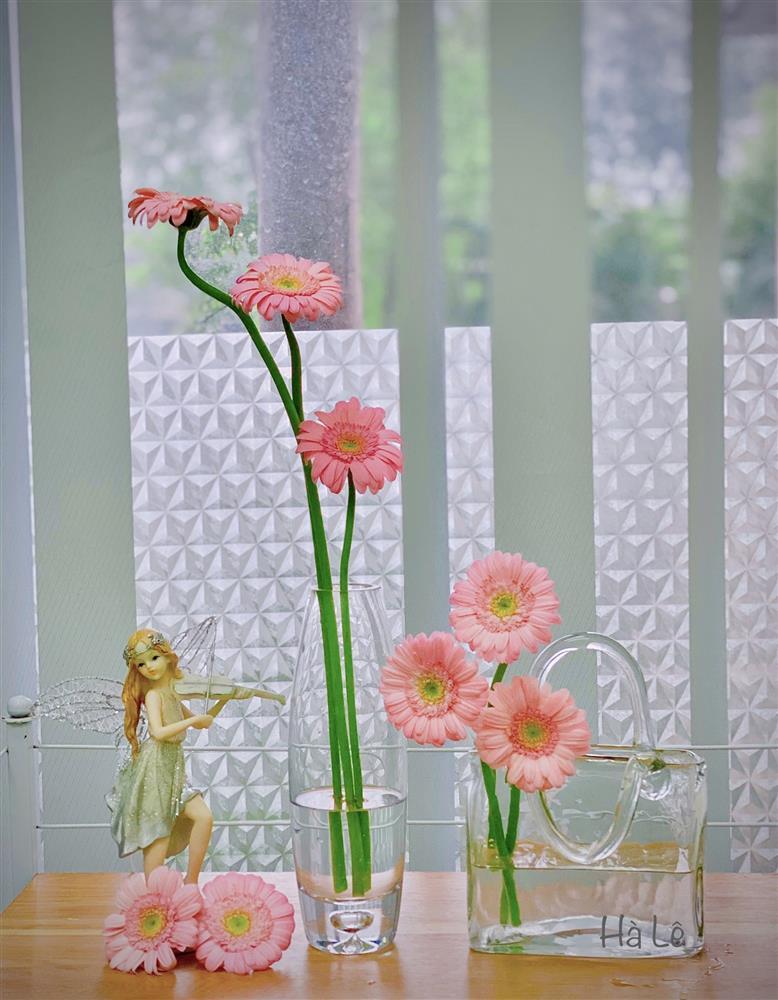 Chỉ với 70k, mẹ Hà Nội hô biến vườn đồng tiền nhí thành 7749 sắc thái rực rỡ-8