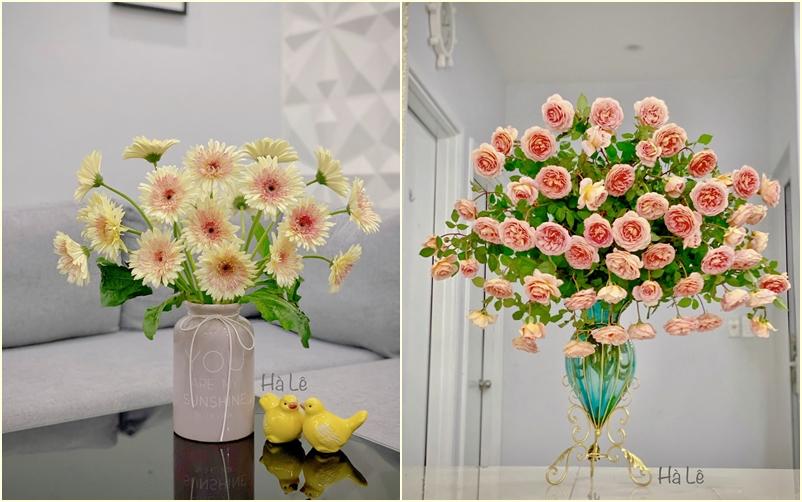 Chỉ với 70k, mẹ Hà Nội hô biến vườn đồng tiền nhí thành 7749 sắc thái rực rỡ-9