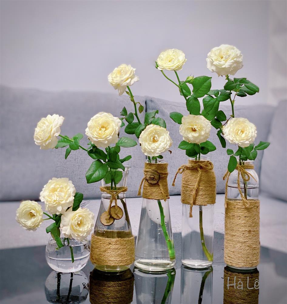 Chỉ với 70k, mẹ Hà Nội hô biến vườn đồng tiền nhí thành 7749 sắc thái rực rỡ-14