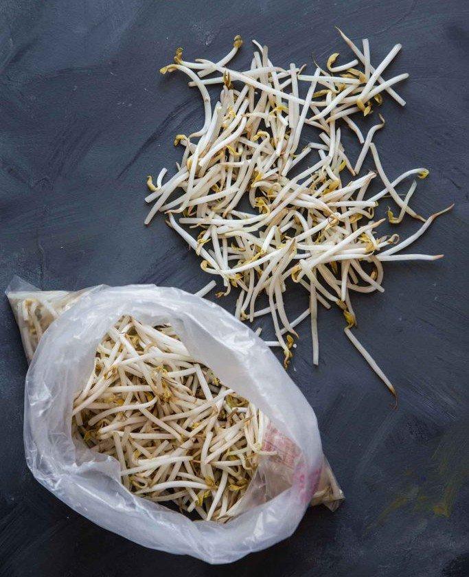 Mua giá đỗ hay bị thâm đen nát ủng, đầu bếp mách chiêu 5 ngày không hỏng-2