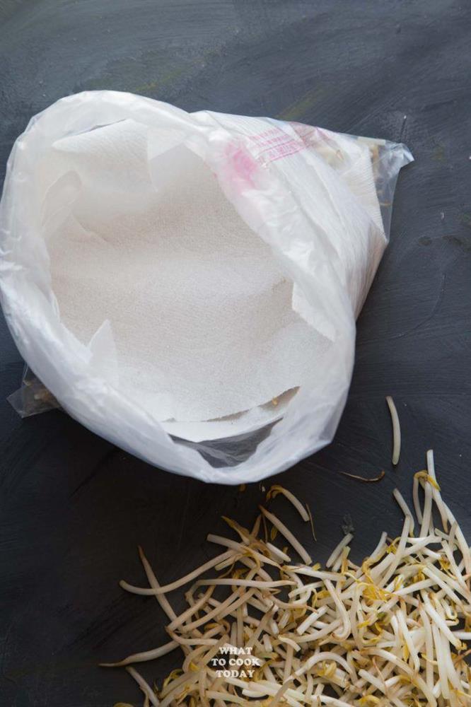 Mua giá đỗ hay bị thâm đen nát ủng, đầu bếp mách chiêu 5 ngày không hỏng-3