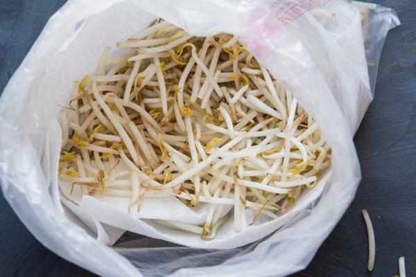 Tuyệt chiêu làm giá đỗ cho người lười chỉ bằng 1 chiếc túi lưới-11