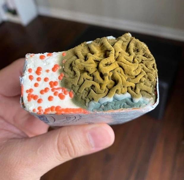 Bị con người lãng quên, thực phẩm sẽ biến hình kinh hãi đến thế nào?-1