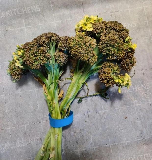 Bị con người lãng quên, thực phẩm sẽ biến hình kinh hãi đến thế nào?-2