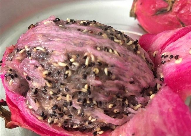 Bị con người lãng quên, thực phẩm sẽ biến hình kinh hãi đến thế nào?-4