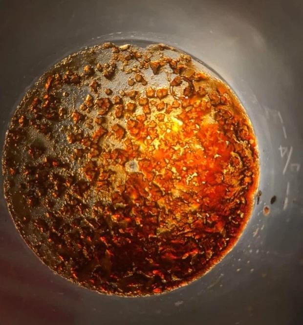 Bị con người lãng quên, thực phẩm sẽ biến hình kinh hãi đến thế nào?-9