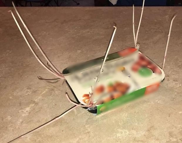 Bị con người lãng quên, thực phẩm sẽ biến hình kinh hãi đến thế nào?-13