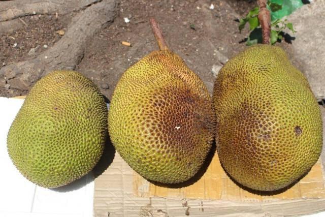 Tinh ý phân biệt 5 loại quả bán đầy chợ dễ bị ngâm ủ hóa chất-9