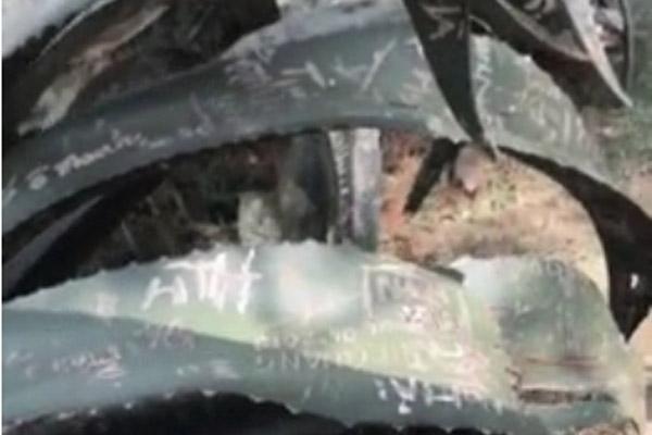 Cặp bạn thân 10 năm chờ sương, chịu rét check-in Thung lũng vàng Đà Lạt-11