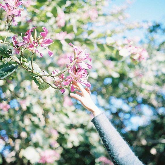 Tử vi 12 cung hoàng đạo thứ Tư 28/4/2021: Xử Nữ nên thắt chặt chi tiêu-1