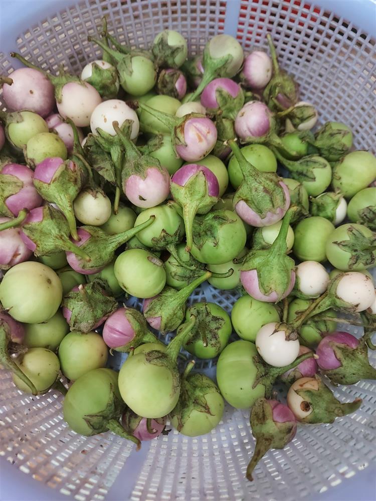 Học mẹ Sài Gòn làm cà pháo muối xổi giòn ngon đưa cơm ngày hè-2