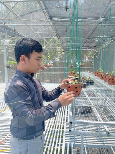 Chàng trai 26 tuổi đã sở hữu vườn lan đẹp nhất Đồng Nai-2