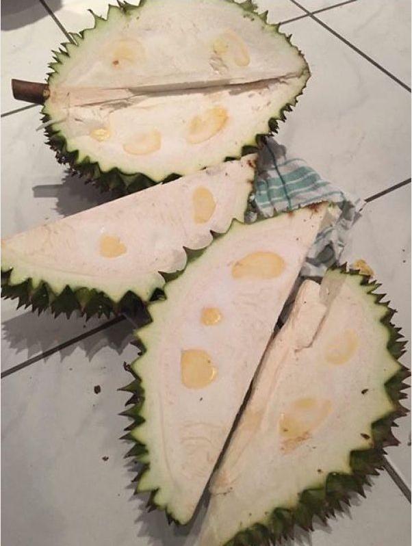 Chi 400k mua sầu riêng, cô gái chán chẳng buồn nói vì cái kết đau lòng-1