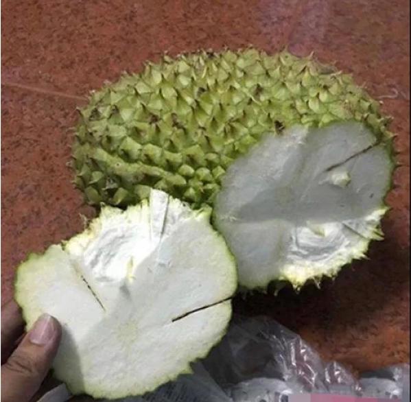 Chi 400k mua sầu riêng, cô gái chán chẳng buồn nói vì cái kết đau lòng-5