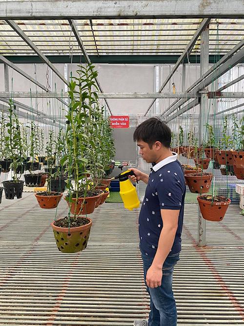 Vườn lan đẹp ‘nức lòng’ của ông chủ vườn lan 8x-2