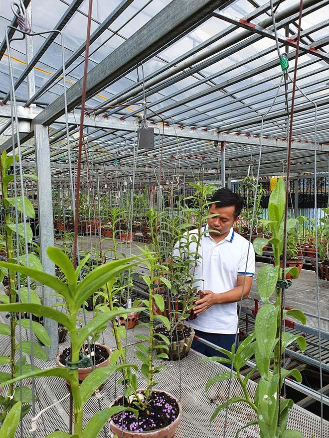 8X Bắc Kạn bỏ việc để theo đuổi giấc mơ vườn lan ngàn chậu-3