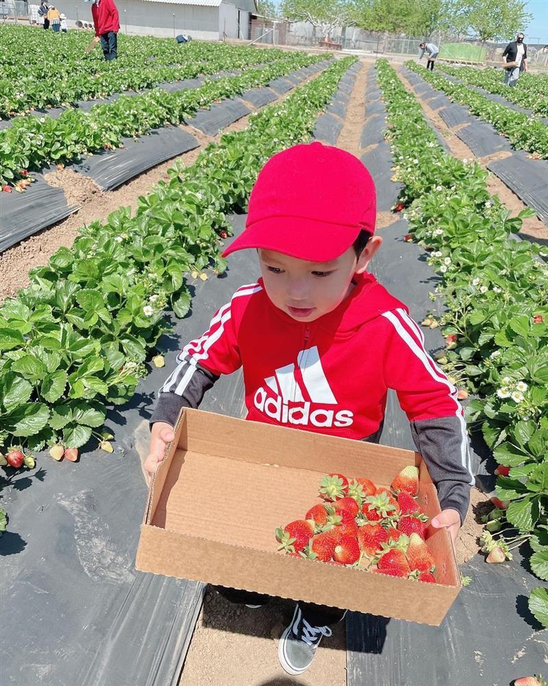 Phạm Hương chia sẻ bức ảnh mình đè người kém duyên-6