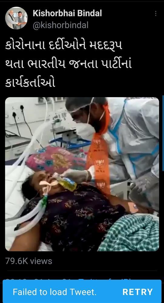 Người mắc Covid-19 ở Ấn Độ được cho uống nước tiểu bò để chữa khỏi?-1