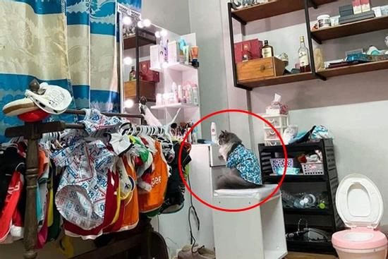 Đến nhà bạn chơi, cô gái hốt hoảng thấy 'quàng thượng' có hẳn bàn trang điểm