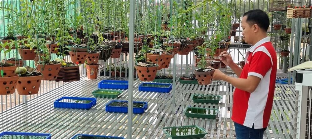 Chàng trai Quảng Trị sở hữu nhiều giò lan quý-2