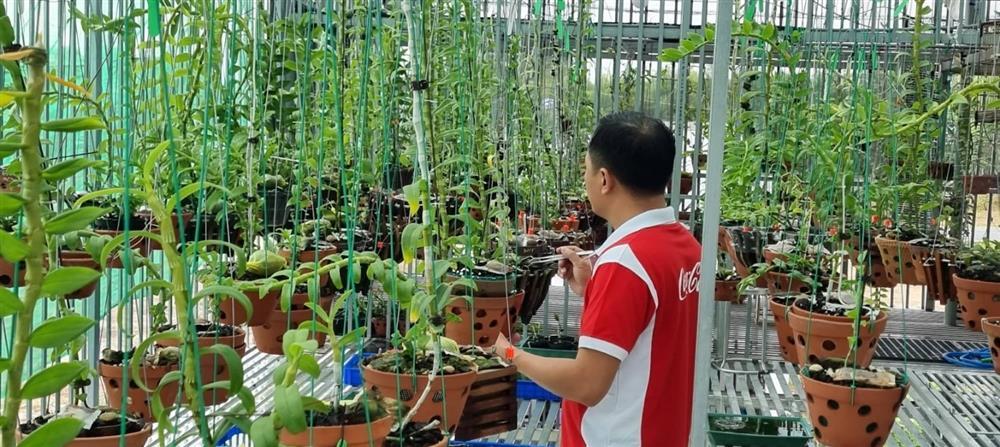 Chàng trai Quảng Trị sở hữu nhiều giò lan quý-3