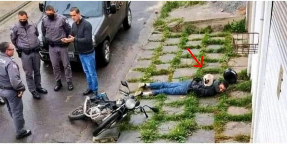 Những hình ảnh cho thấy mèo mới là loài khó hiểu nhất hành tinh chứ không phải là con gái-1