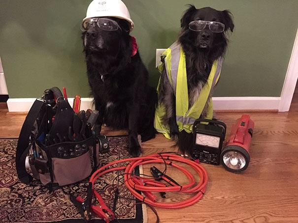 Đôi khi bố mẹ chúng ta lại có những giây phút hồn nhiên đến lạ-6