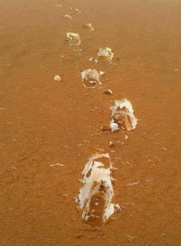 Món ăn tung hỏa mù khiến bạn bị lú, té ngửa khi thưởng thức-3