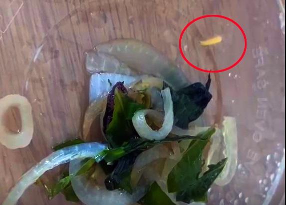 Lập đoàn kiểm tra vụ tố thức ăn ở cơ sở cách ly có dòi-1