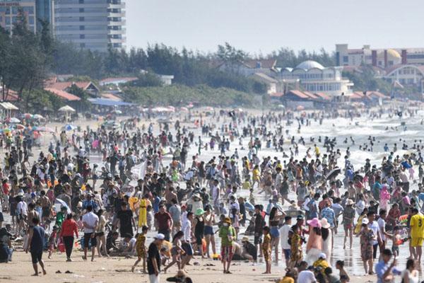 Đàn khỉ xuất hiện trên đường phố Vũng Tàu-3