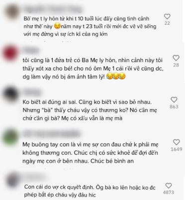 Xót xa đứa trẻ gào khóc gọi mẹ bị bà nội bắt về vì bố mẹ ly hôn-4