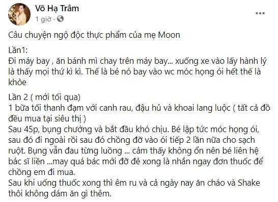 Bà bầu Võ Hạ Trâm ngộ độc đồ ăn máy bay, thực phẩm siêu thị-1