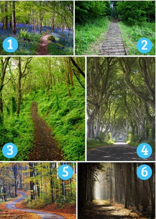 Con đường muốn đi nhất sẽ tiết lộ triết lý cuộc sống của bạn-1