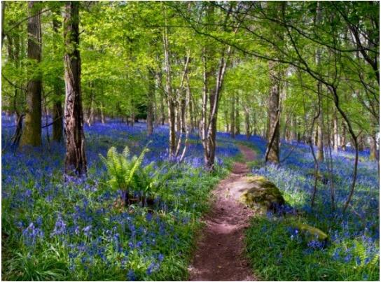 Con đường muốn đi nhất sẽ tiết lộ triết lý cuộc sống của bạn-2