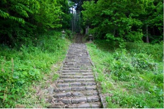 Con đường muốn đi nhất sẽ tiết lộ triết lý cuộc sống của bạn-3