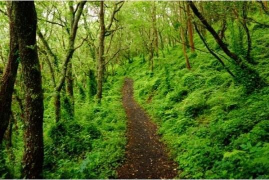 Con đường muốn đi nhất sẽ tiết lộ triết lý cuộc sống của bạn-4