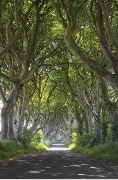 Con đường muốn đi nhất sẽ tiết lộ triết lý cuộc sống của bạn-5