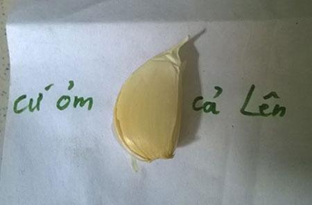 Mượn sự phong phú của tiếng Việt, Đuổi hình bắt chữ phiên bản đồ ăn ra đời-1