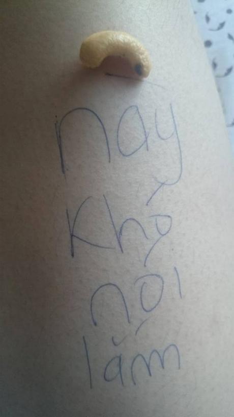 Mượn sự phong phú của tiếng Việt, Đuổi hình bắt chữ phiên bản đồ ăn ra đời-11