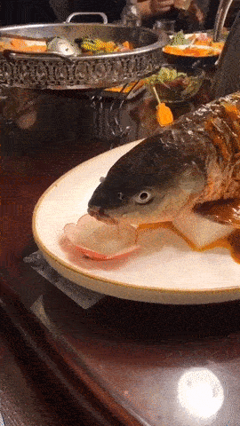 Món ăn gây tranh cãi dữ dội với con cá vẫn còn nằm thở thoi thóp trên đĩa-2