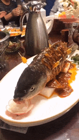 Món ăn gây tranh cãi dữ dội với con cá vẫn còn nằm thở thoi thóp trên đĩa-3