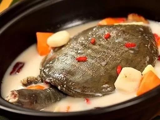 Món ăn gây tranh cãi dữ dội với con cá vẫn còn nằm thở thoi thóp trên đĩa-7